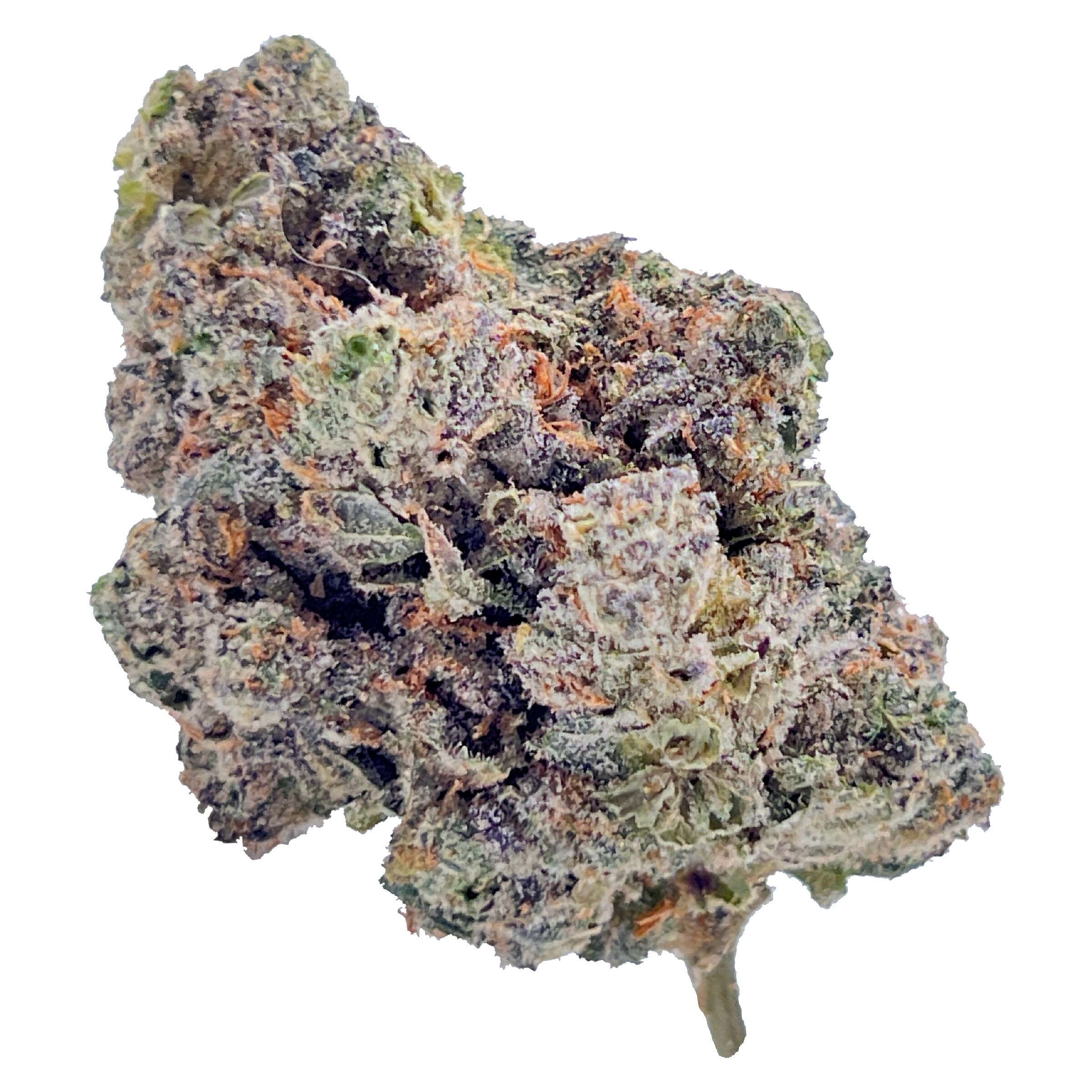 HighXotic | Royal Dive#4: Goofiez - HighXotic | Royal Dive#4: Goofiez | 14g